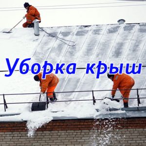 снег